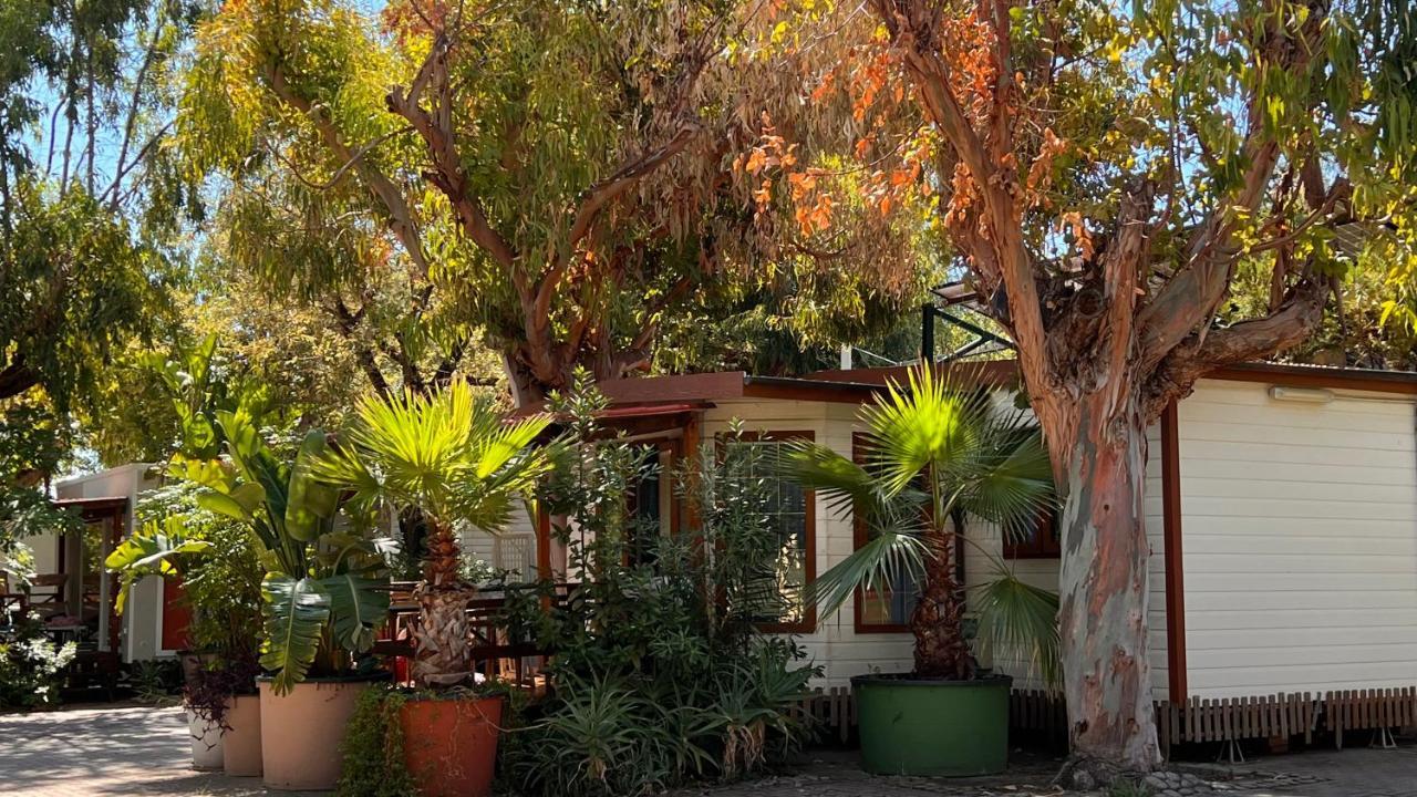 Villaggio Dei Fiori Sanremo Exterior photo